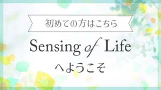 Seinsing of Lifeへようこそ。初めての方はこちらから